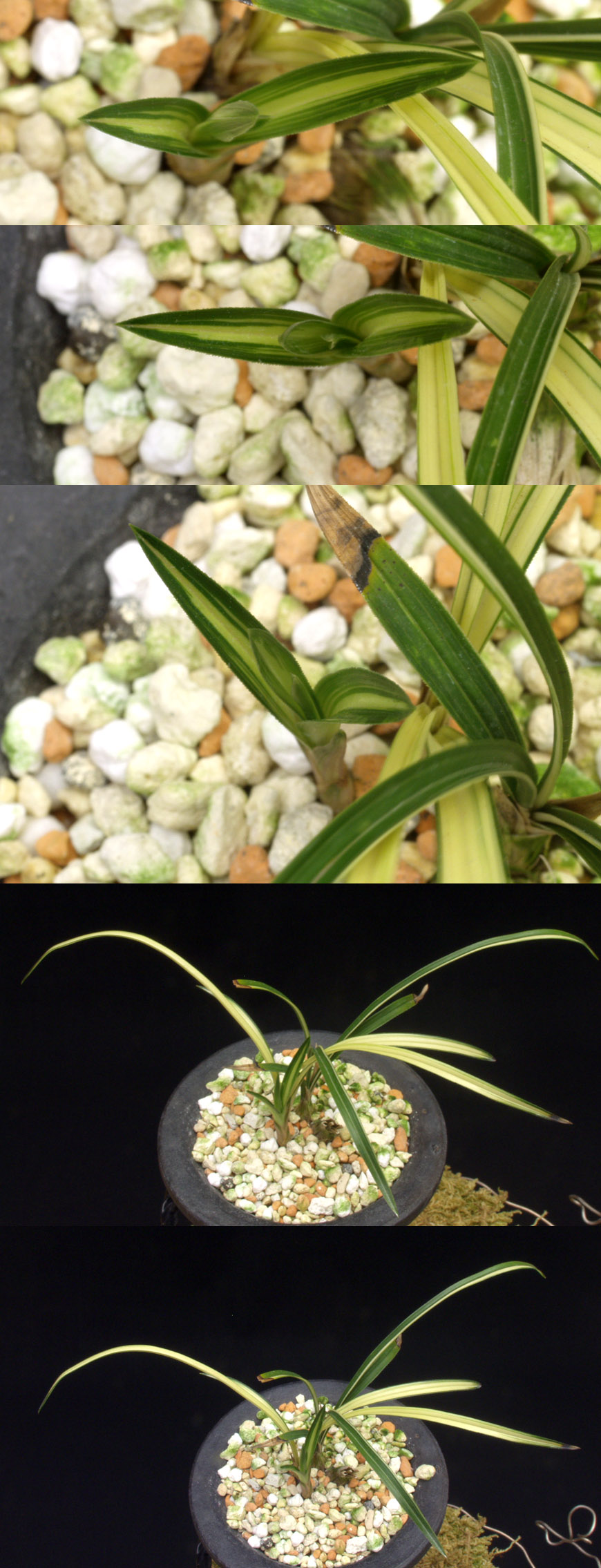 ������ ū������ �� �� �ֽ��ϴ�.