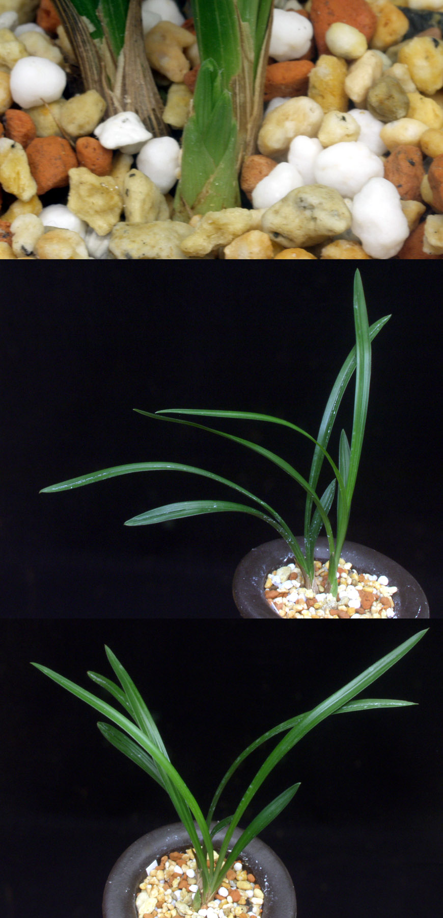 ������ ū������ �� �� �ֽ��ϴ�.