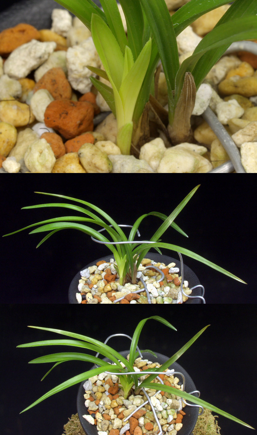 ������ ū������ �� �� �ֽ��ϴ�.