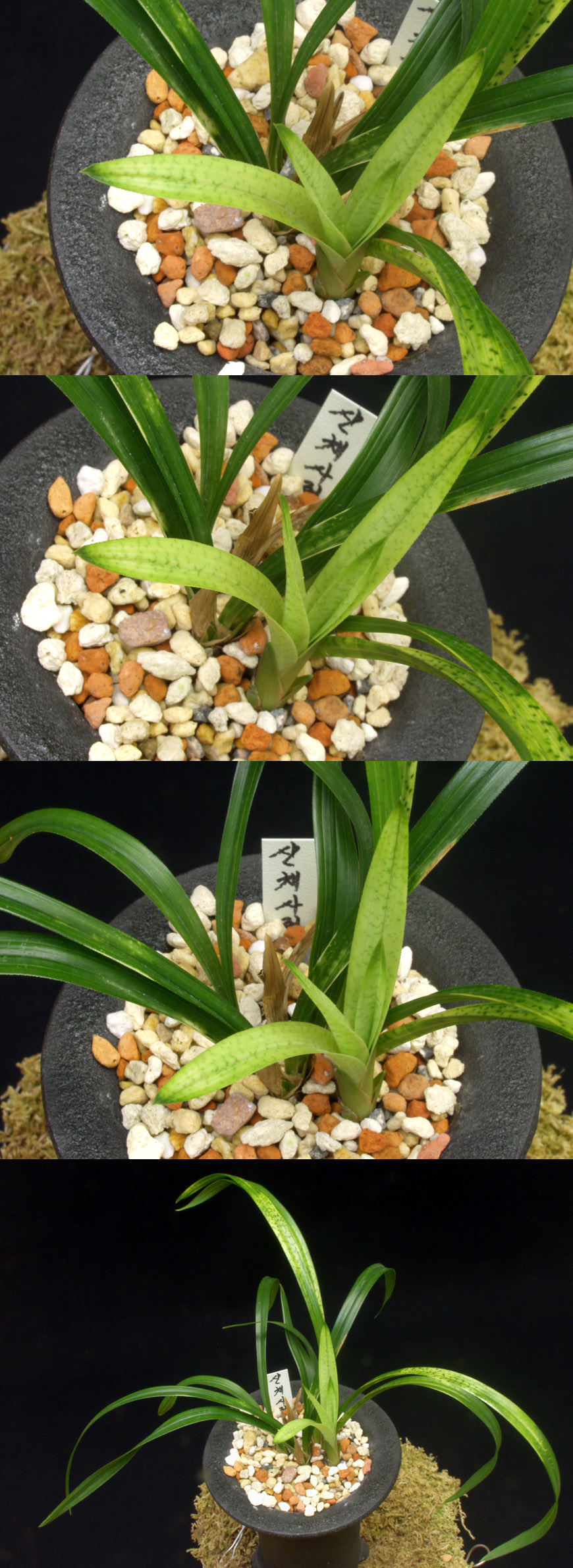 ������ ū������ �� �� �ֽ��ϴ�.