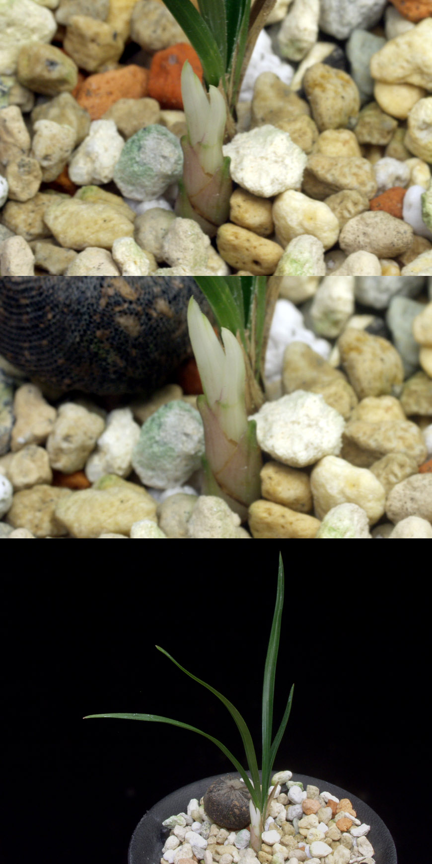 ������ ū������ �� �� �ֽ��ϴ�.