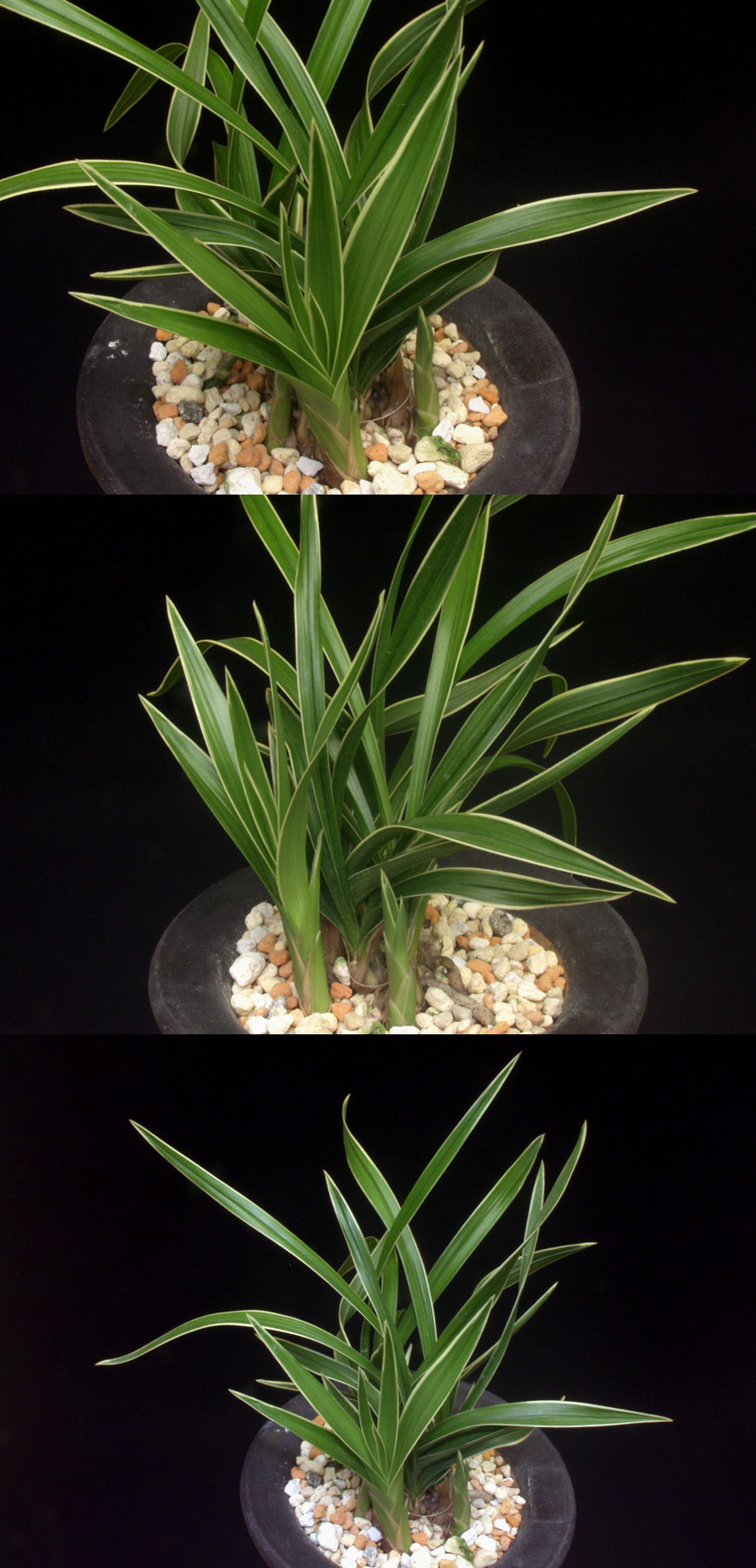 ������ ū������ �� �� �ֽ��ϴ�.