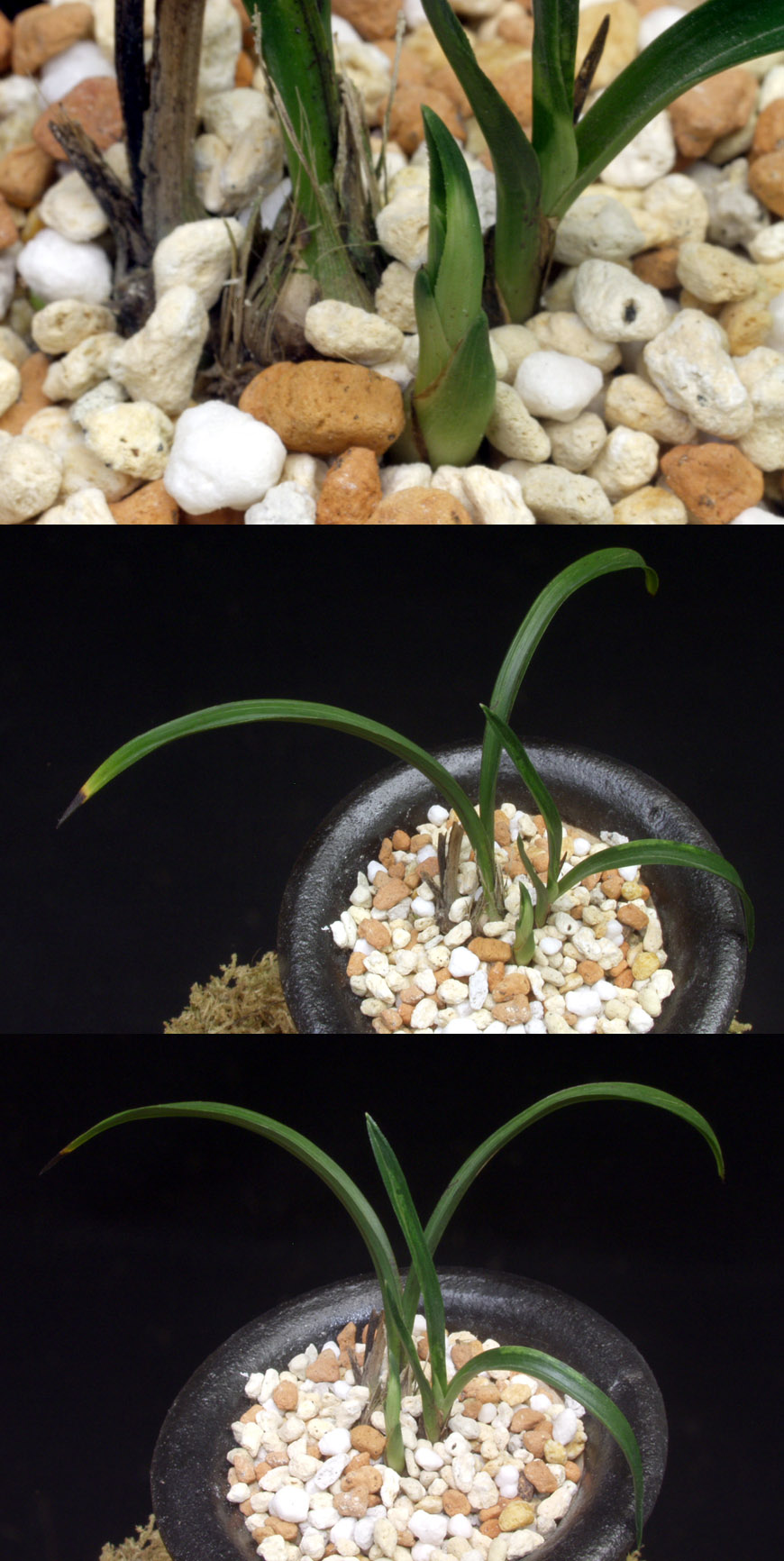 ������ ū������ �� �� �ֽ��ϴ�.