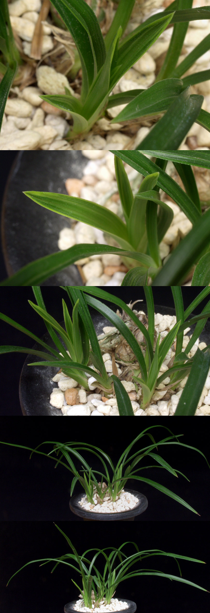 ������ ū������ �� �� �ֽ��ϴ�.