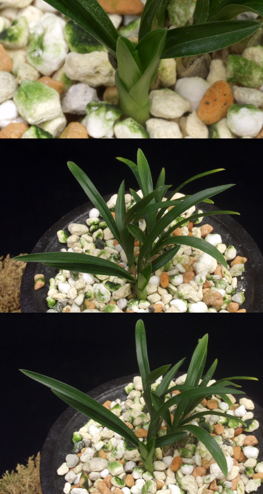 ������ ū������ �� �� �ֽ��ϴ�.