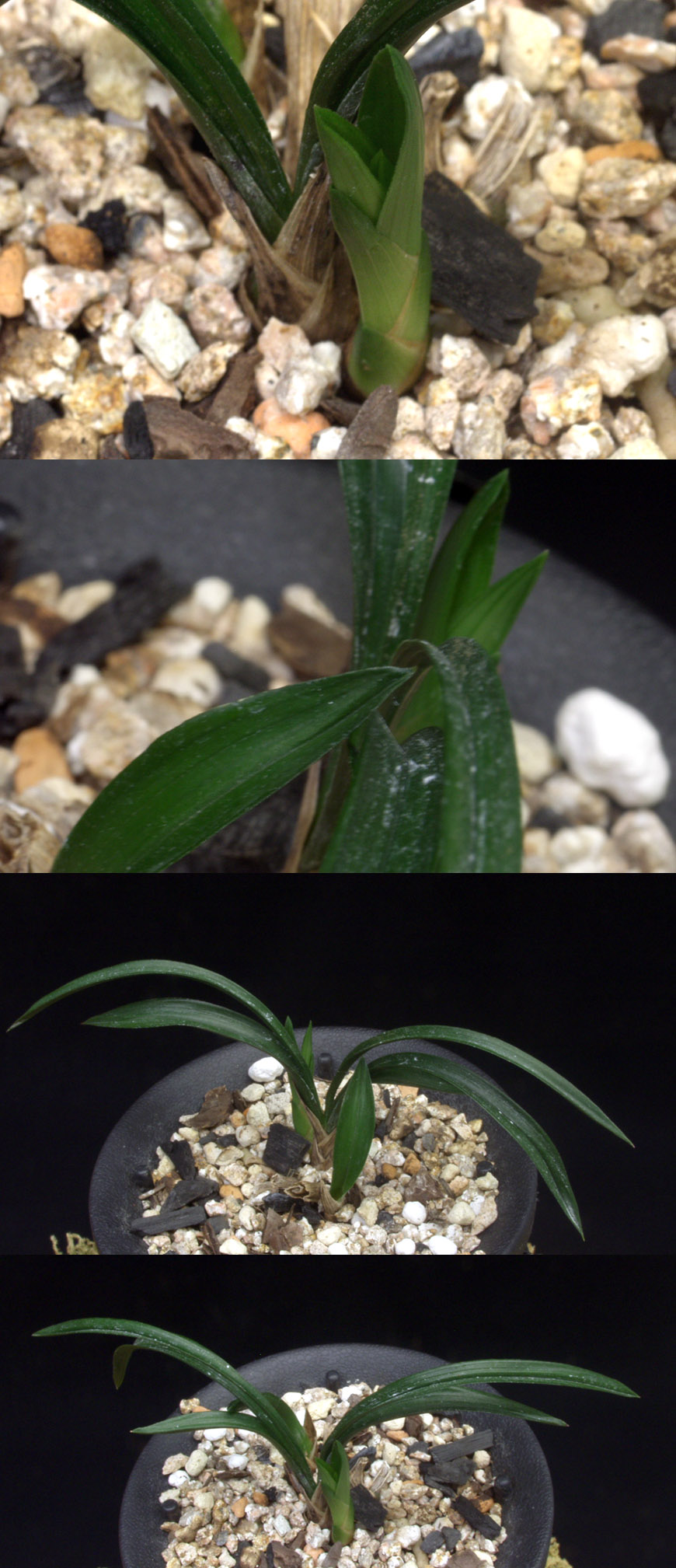 ������ ū������ �� �� �ֽ��ϴ�.