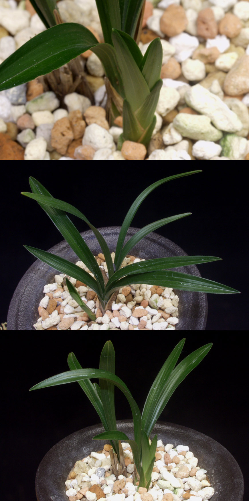 ������ ū������ �� �� �ֽ��ϴ�.