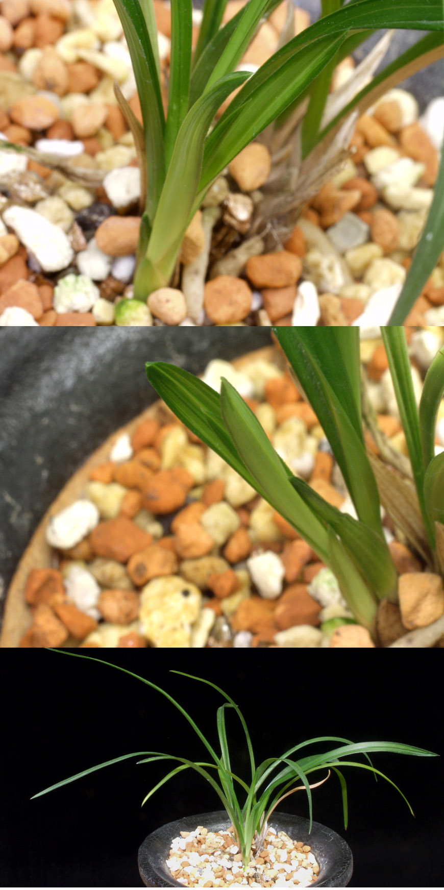 ������ ū������ �� �� �ֽ��ϴ�.