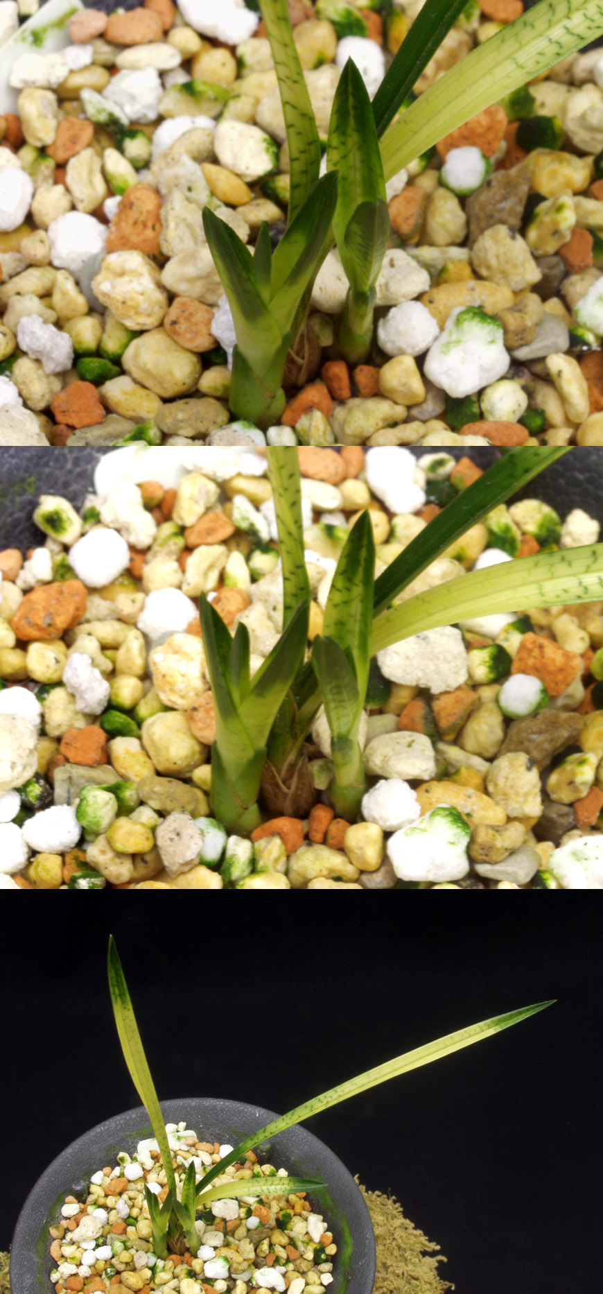 ������ ū������ �� �� �ֽ��ϴ�.