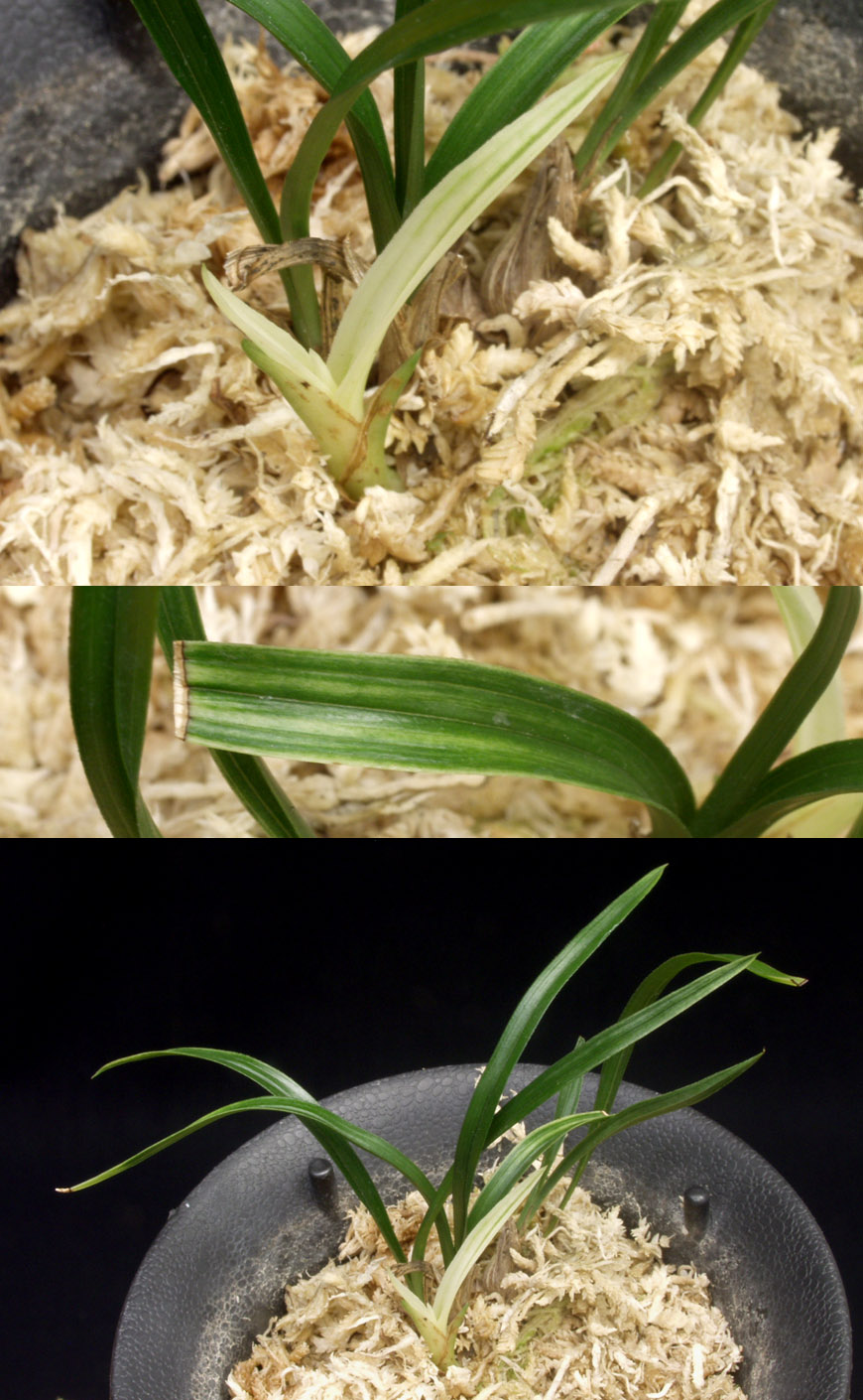 ������ ū������ �� �� �ֽ��ϴ�.