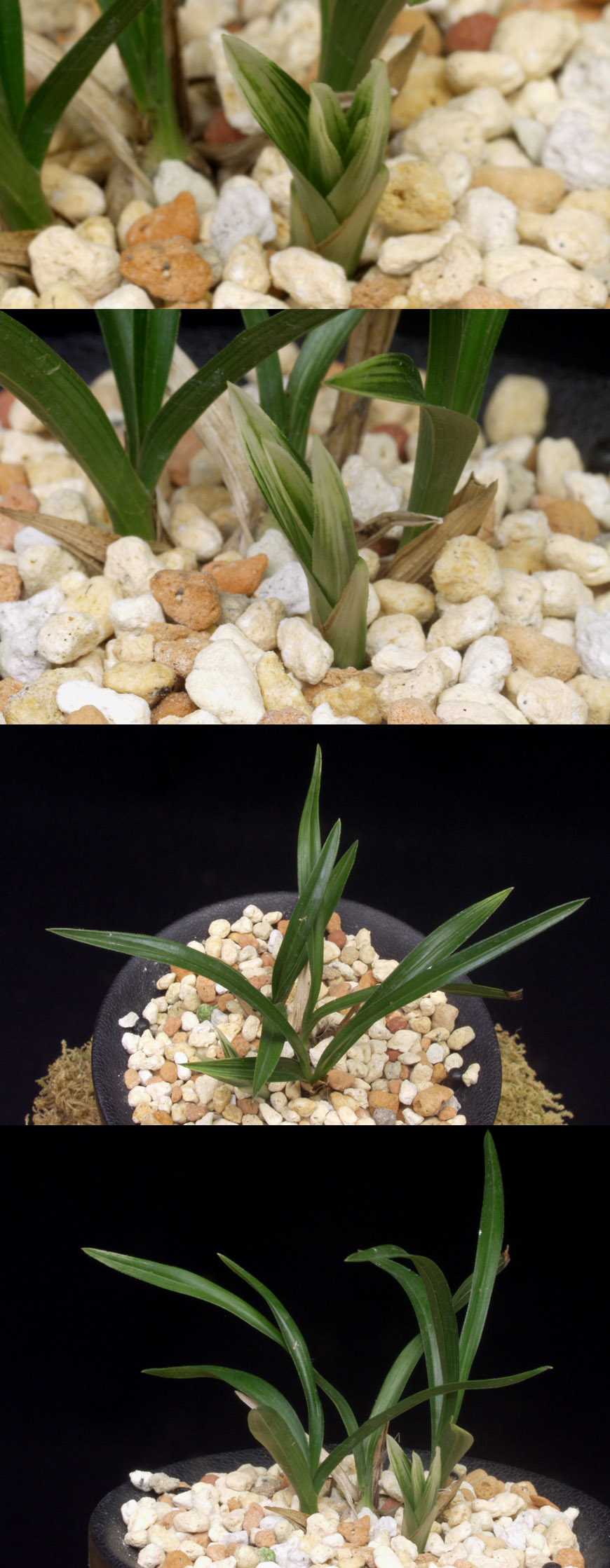 ������ ū������ �� �� �ֽ��ϴ�.