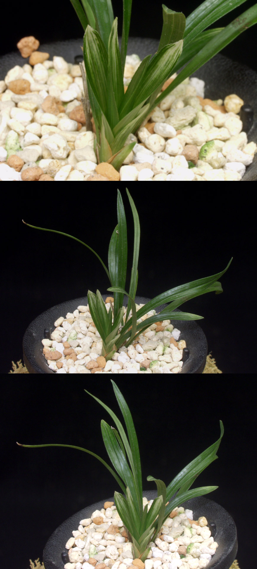 ������ ū������ �� �� �ֽ��ϴ�.