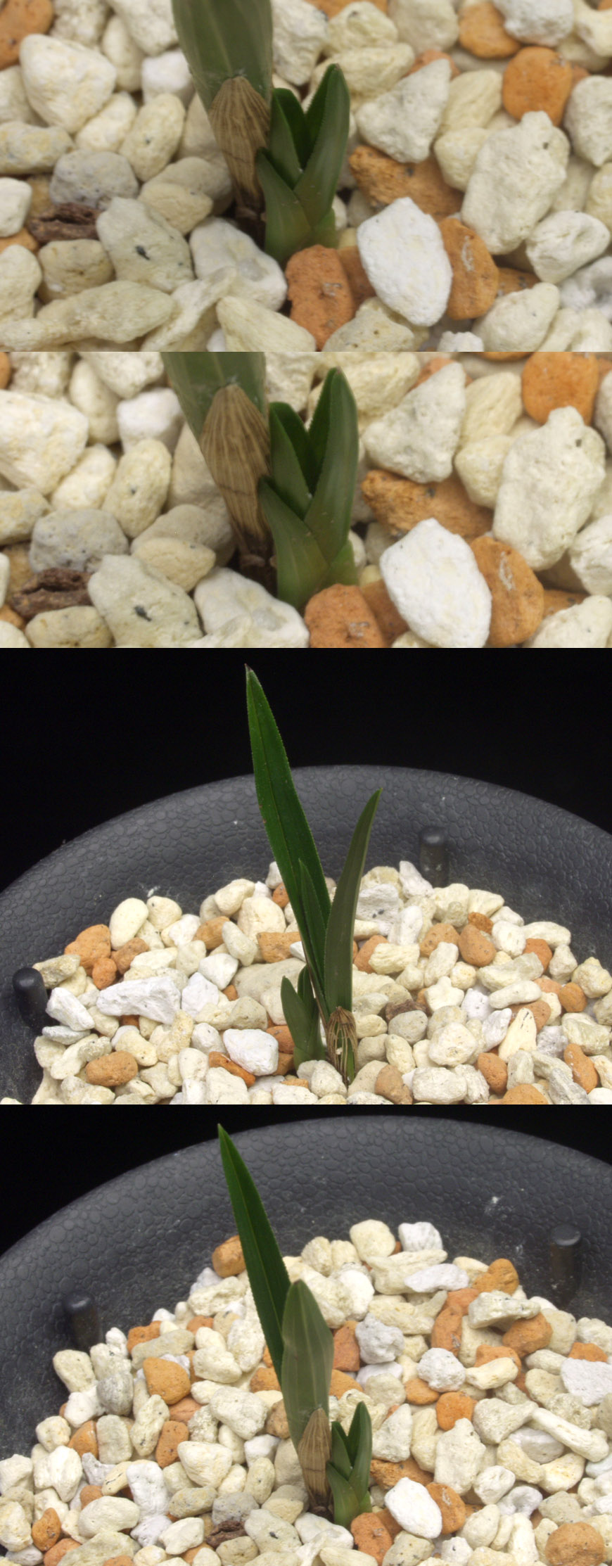 ������ ū������ �� �� �ֽ��ϴ�.