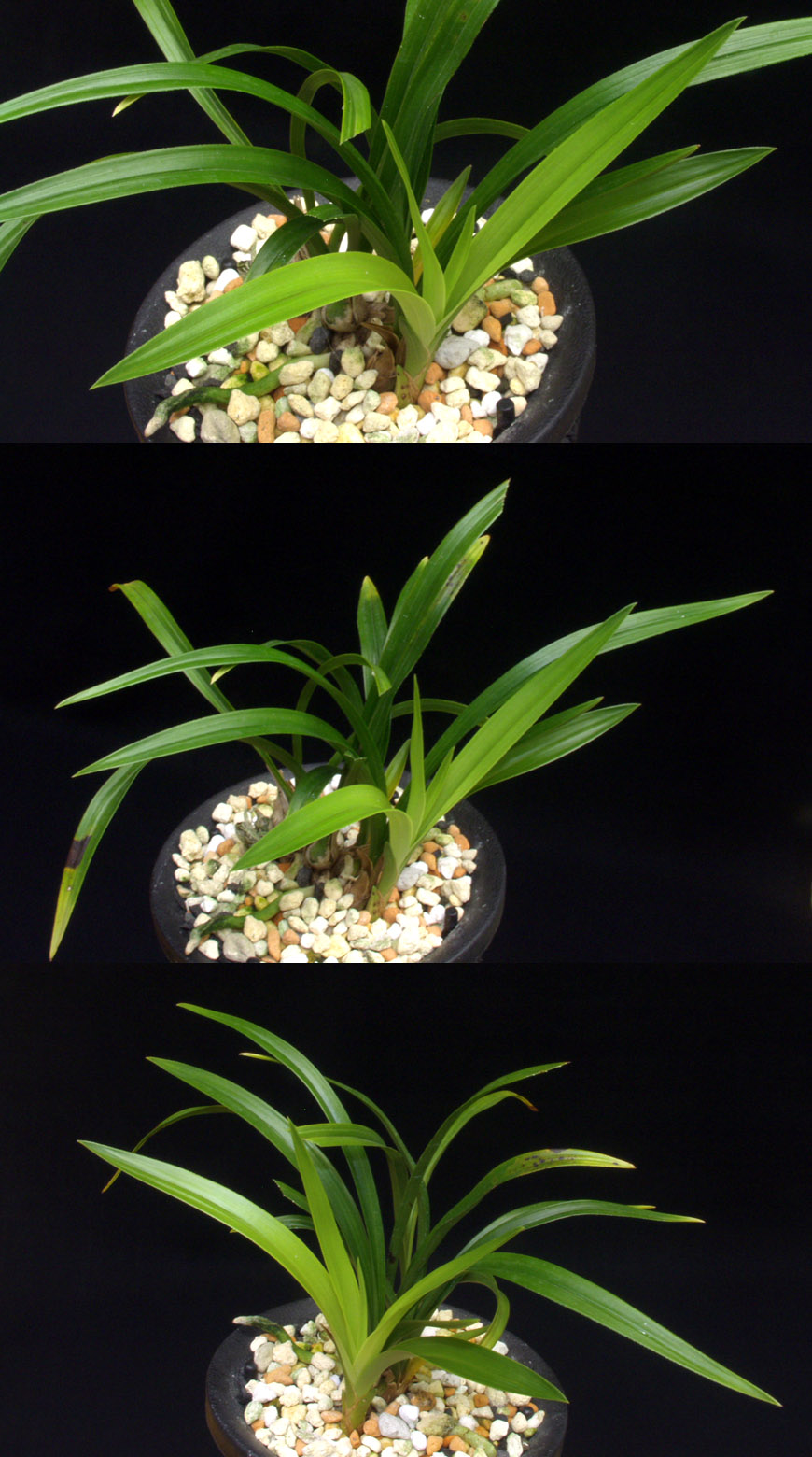 ������ ū������ �� �� �ֽ��ϴ�.