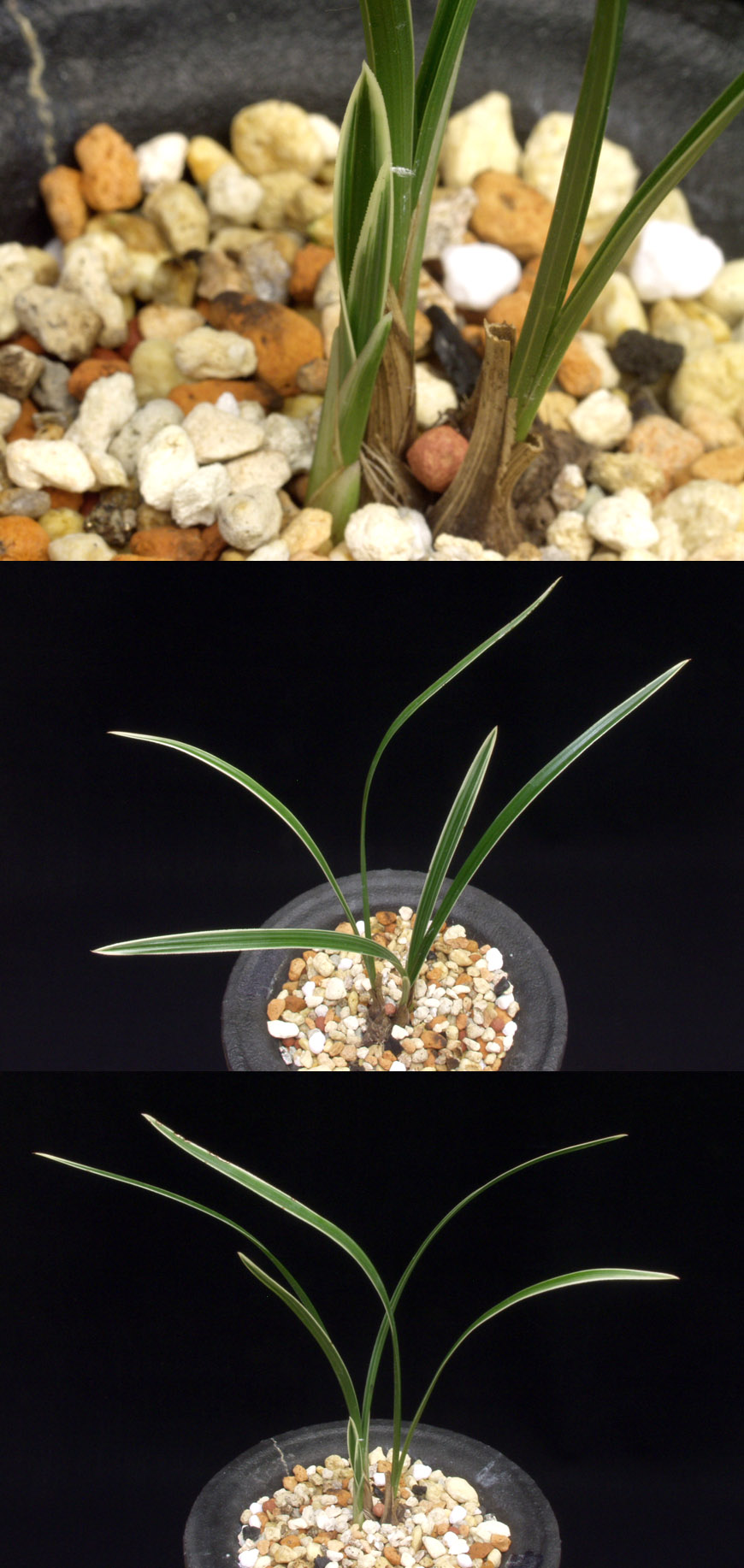 ������ ū������ �� �� �ֽ��ϴ�.