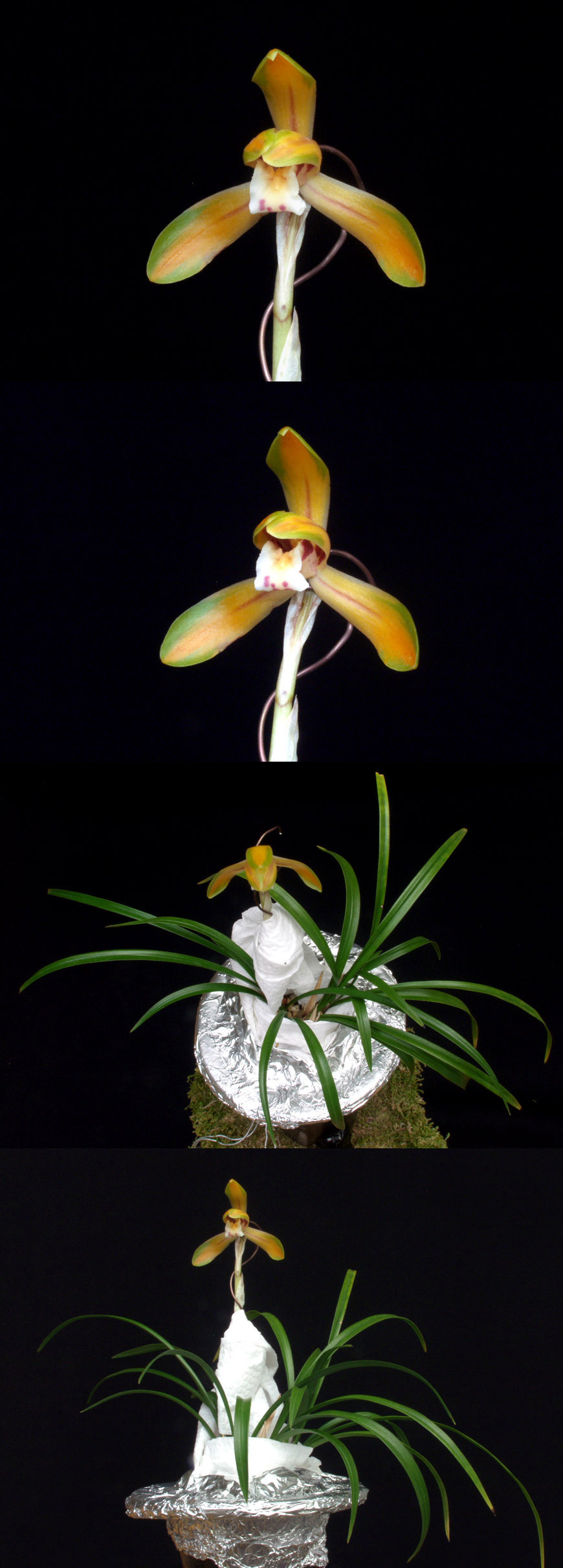 ������ ū������ �� �� �ֽ��ϴ�.