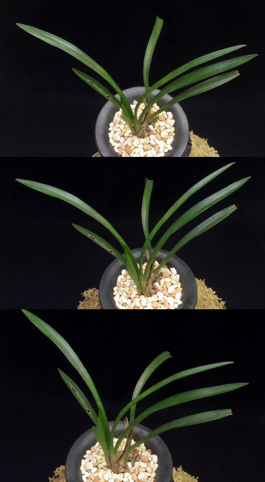 ������ ū������ �� �� �ֽ��ϴ�.