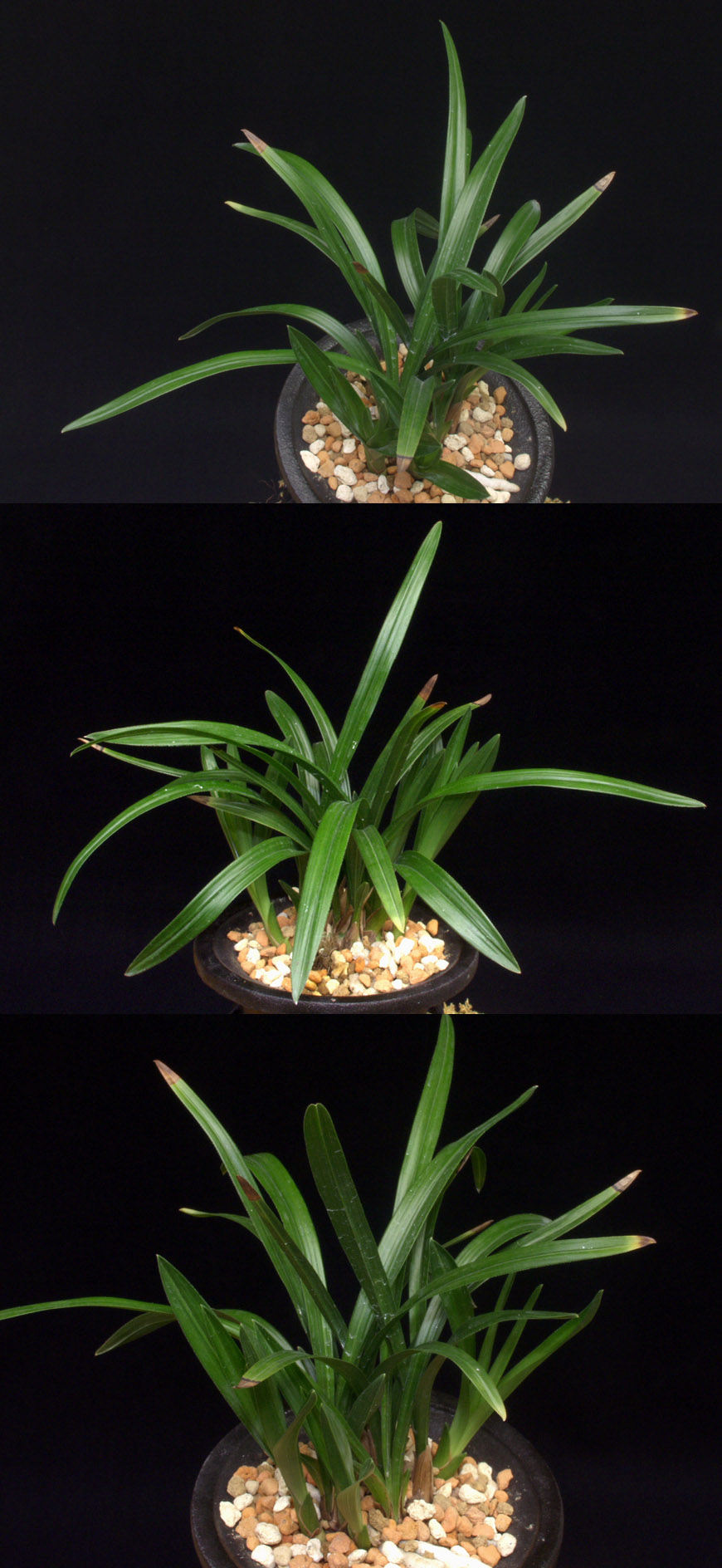 ������ ū������ �� �� �ֽ��ϴ�.