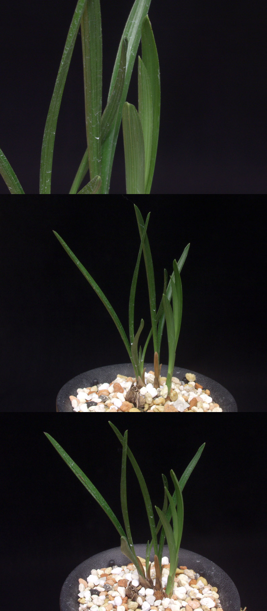 ������ ū������ �� �� �ֽ��ϴ�.