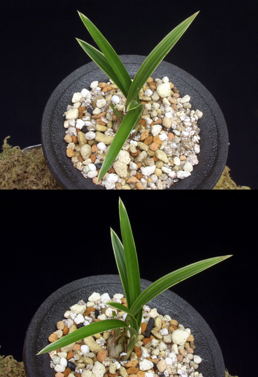 ������ ū������ �� �� �ֽ��ϴ�.