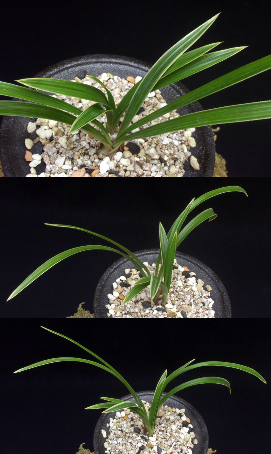 ������ ū������ �� �� �ֽ��ϴ�.