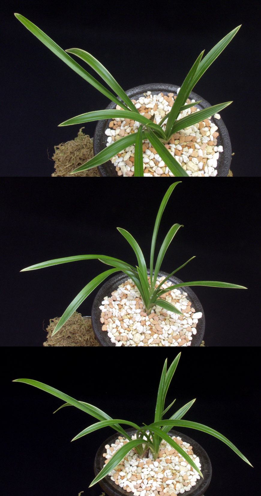 ������ ū������ �� �� �ֽ��ϴ�.