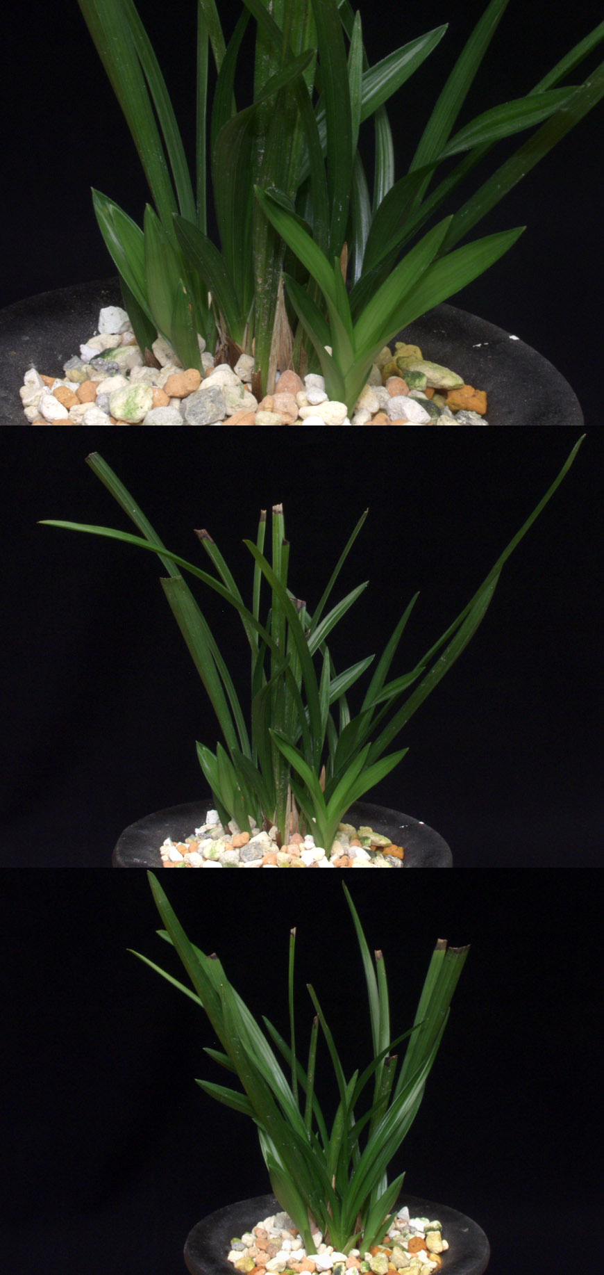 ������ ū������ �� �� �ֽ��ϴ�.