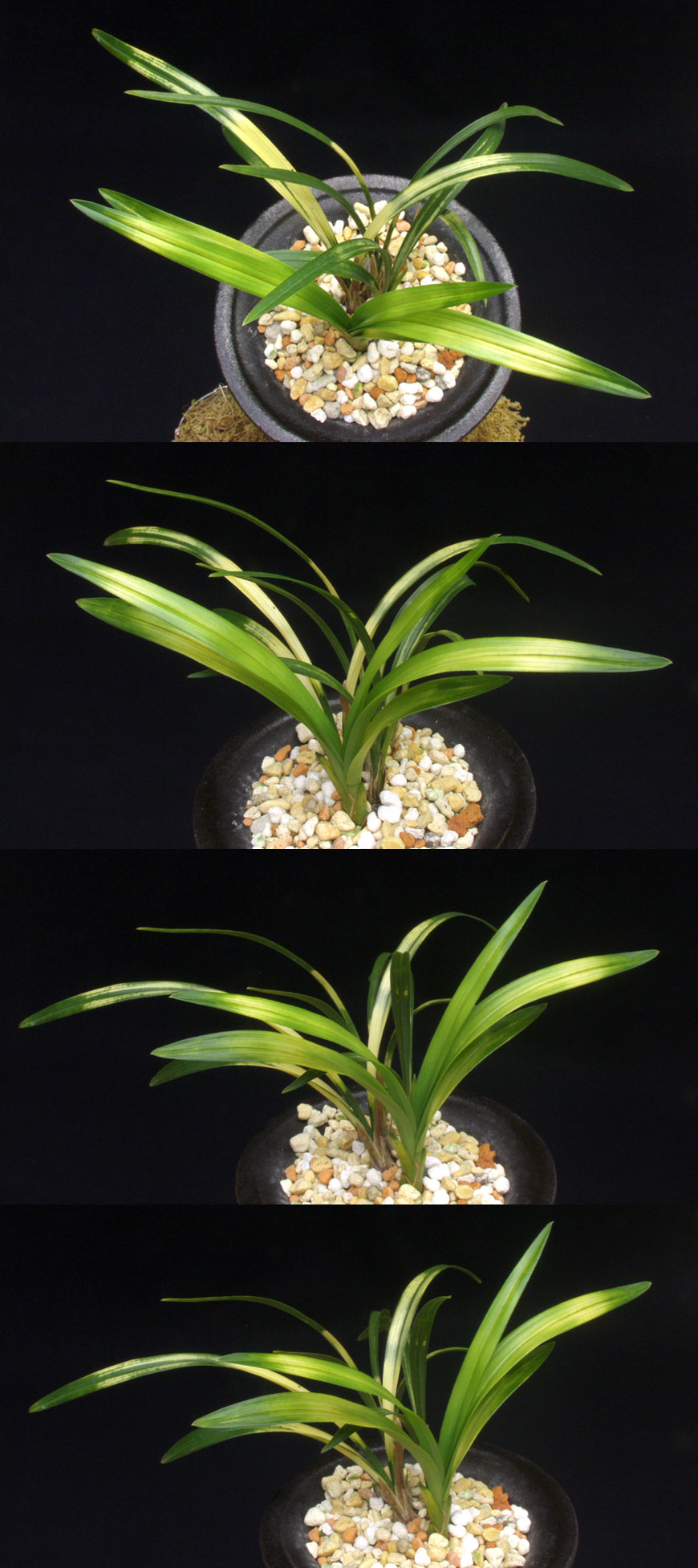 ������ ū������ �� �� �ֽ��ϴ�.