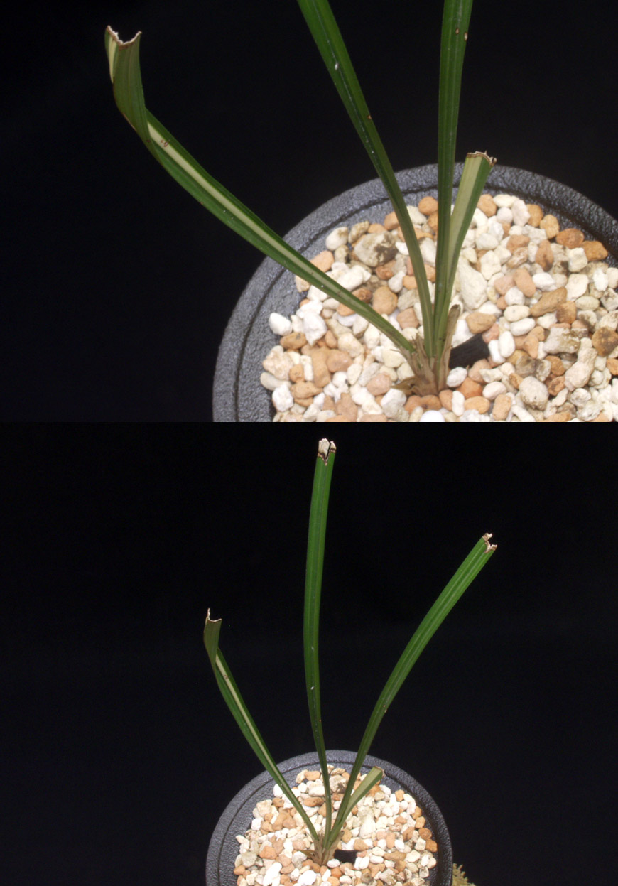 ������ ū������ �� �� �ֽ��ϴ�.