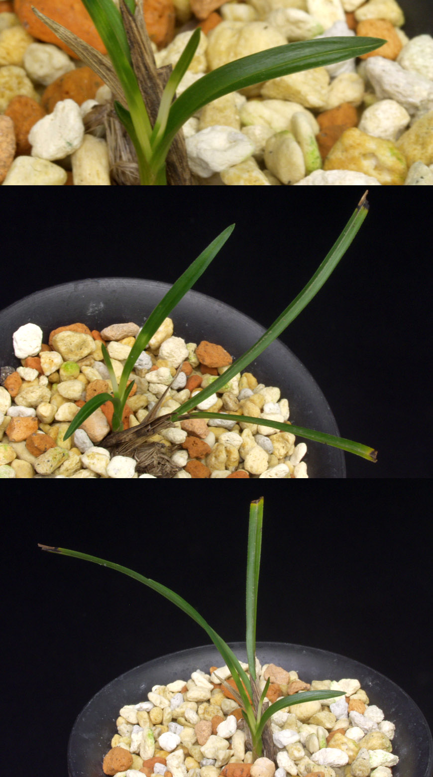 ������ ū������ �� �� �ֽ��ϴ�.