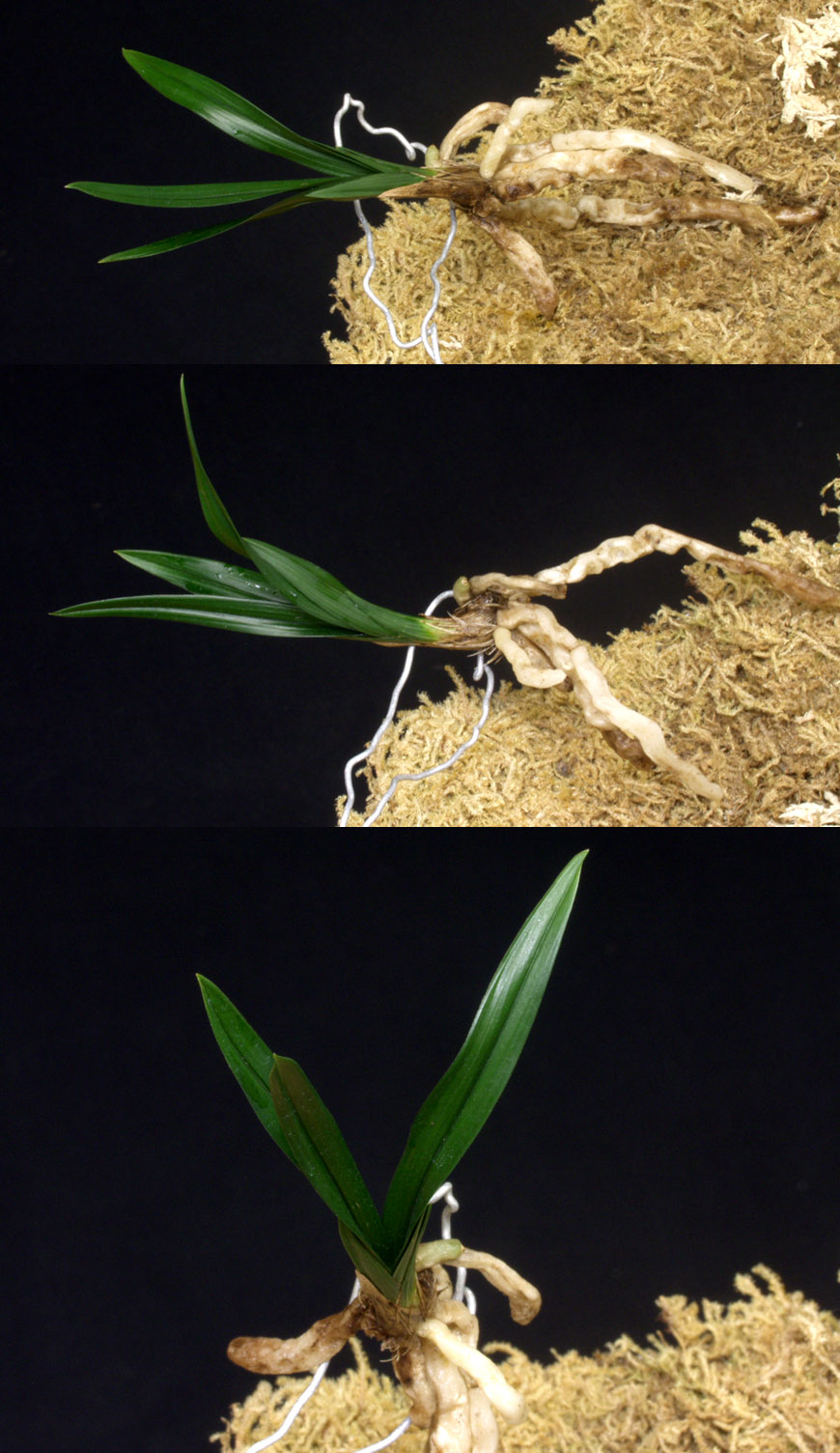 ������ ū������ �� �� �ֽ��ϴ�.