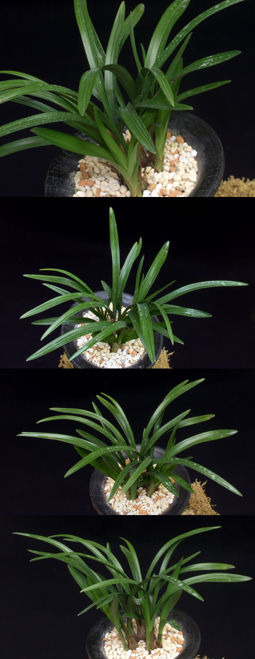 ������ ū������ �� �� �ֽ��ϴ�.