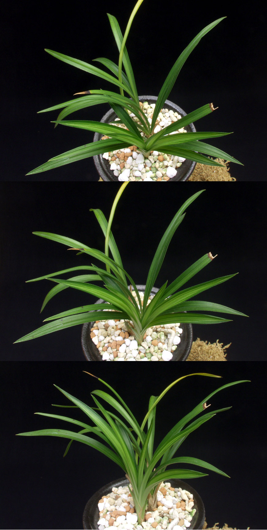 ������ ū������ �� �� �ֽ��ϴ�.