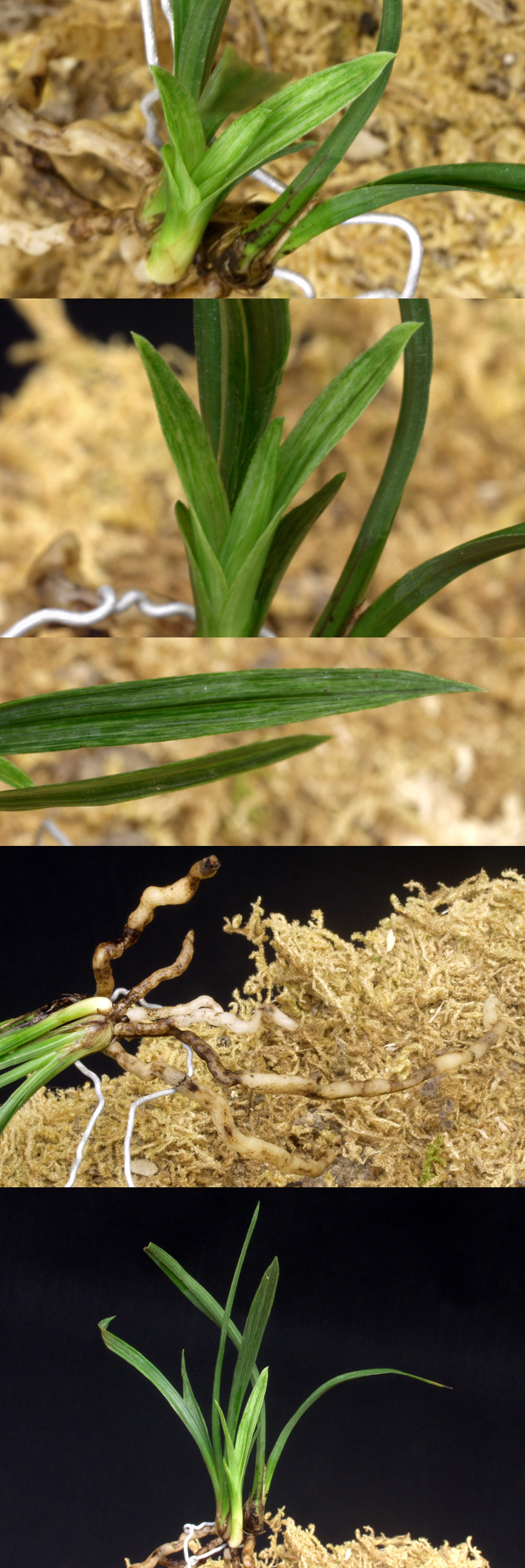 ������ ū������ �� �� �ֽ��ϴ�.