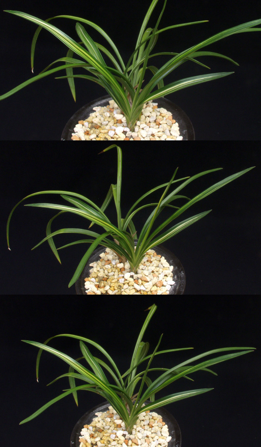 ������ ū������ �� �� �ֽ��ϴ�.