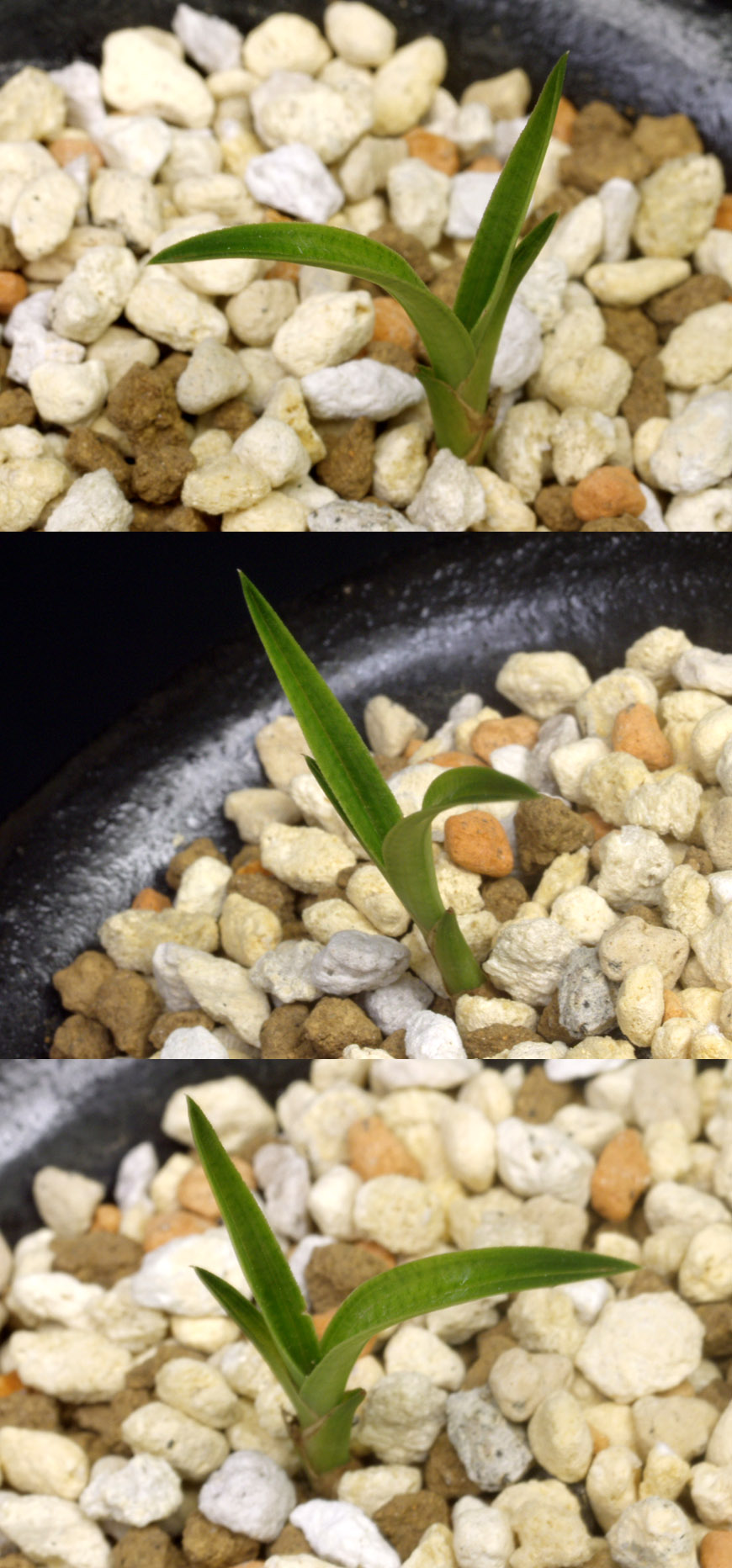 ������ ū������ �� �� �ֽ��ϴ�.