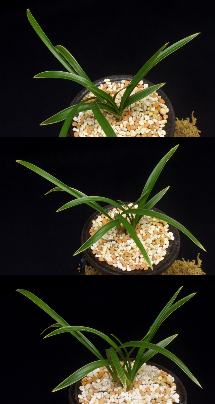 ������ ū������ �� �� �ֽ��ϴ�.