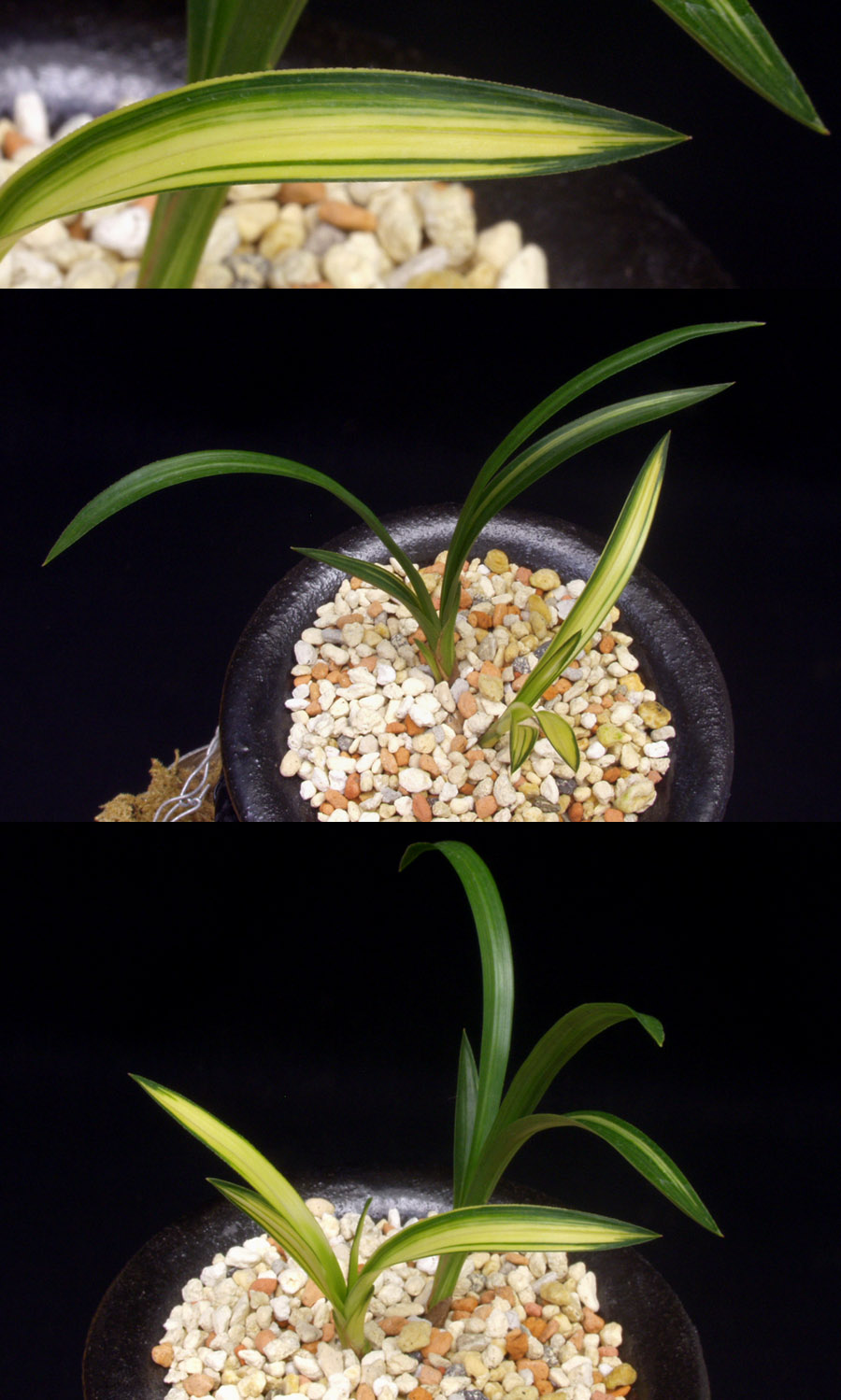 ������ ū������ �� �� �ֽ��ϴ�.