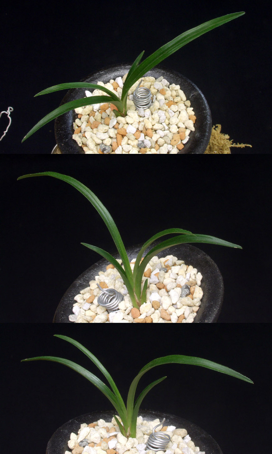 ������ ū������ �� �� �ֽ��ϴ�.