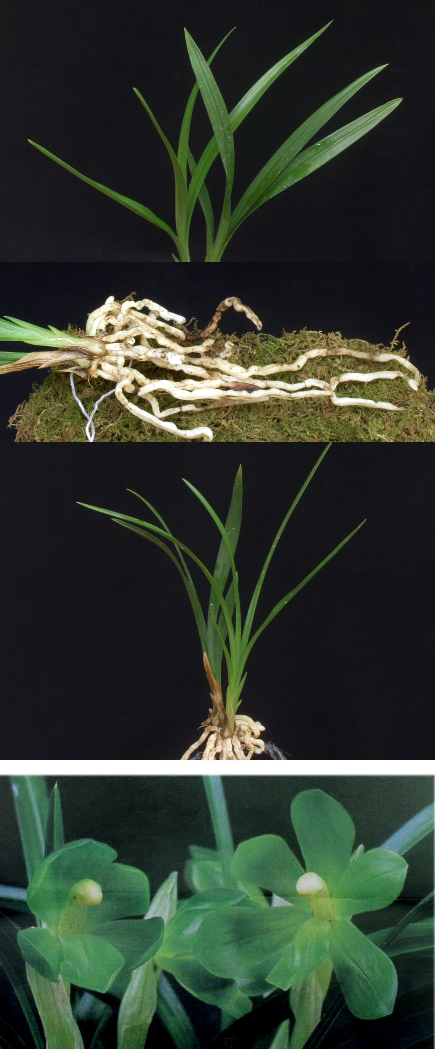 ������ ū������ �� �� �ֽ��ϴ�.