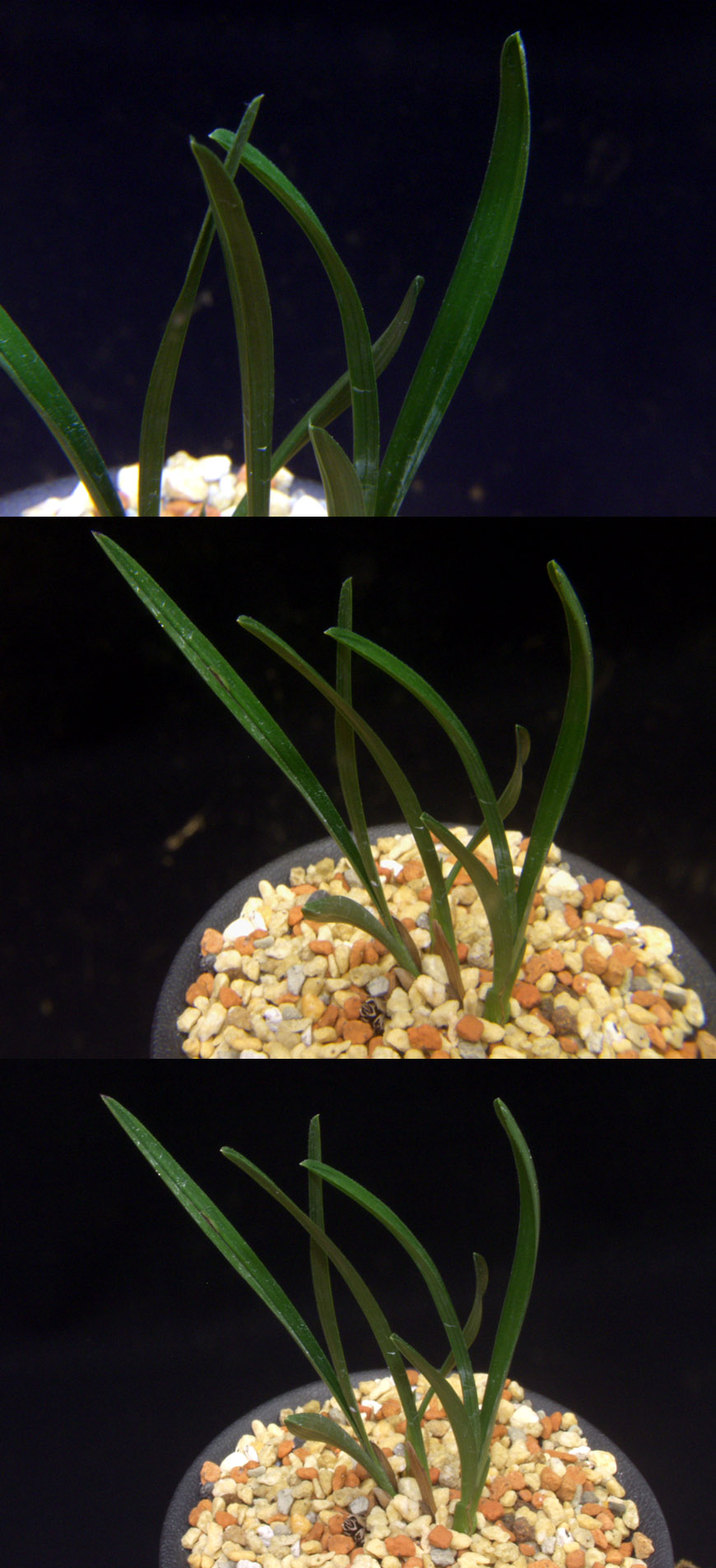 ������ ū������ �� �� �ֽ��ϴ�.