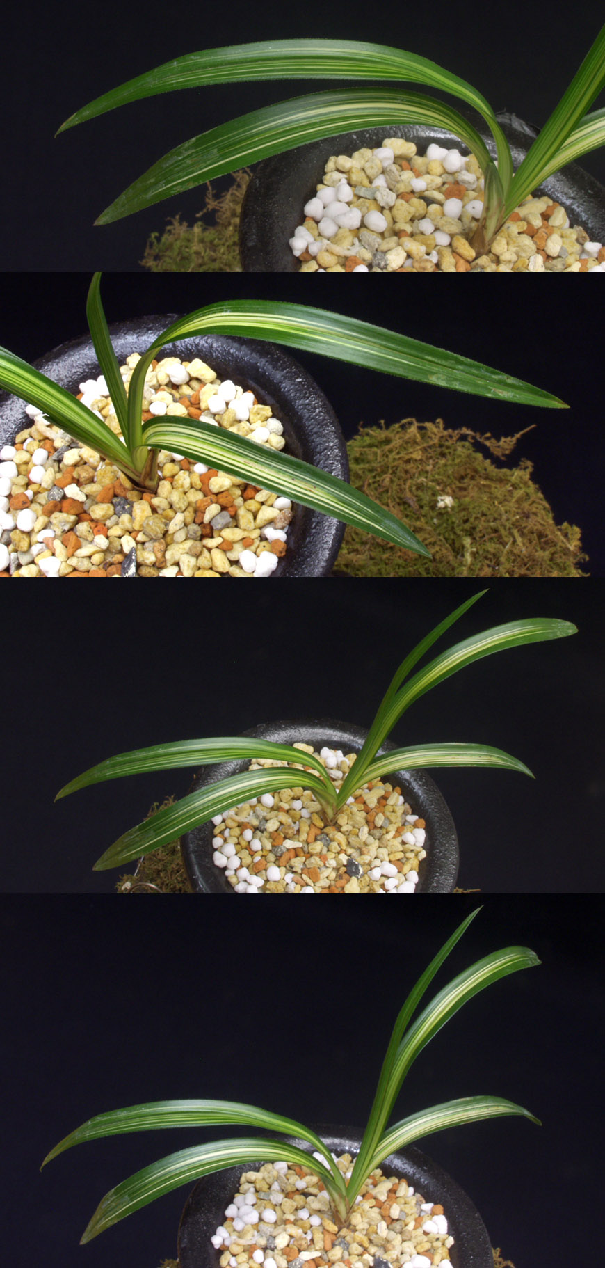 ������ ū������ �� �� �ֽ��ϴ�.