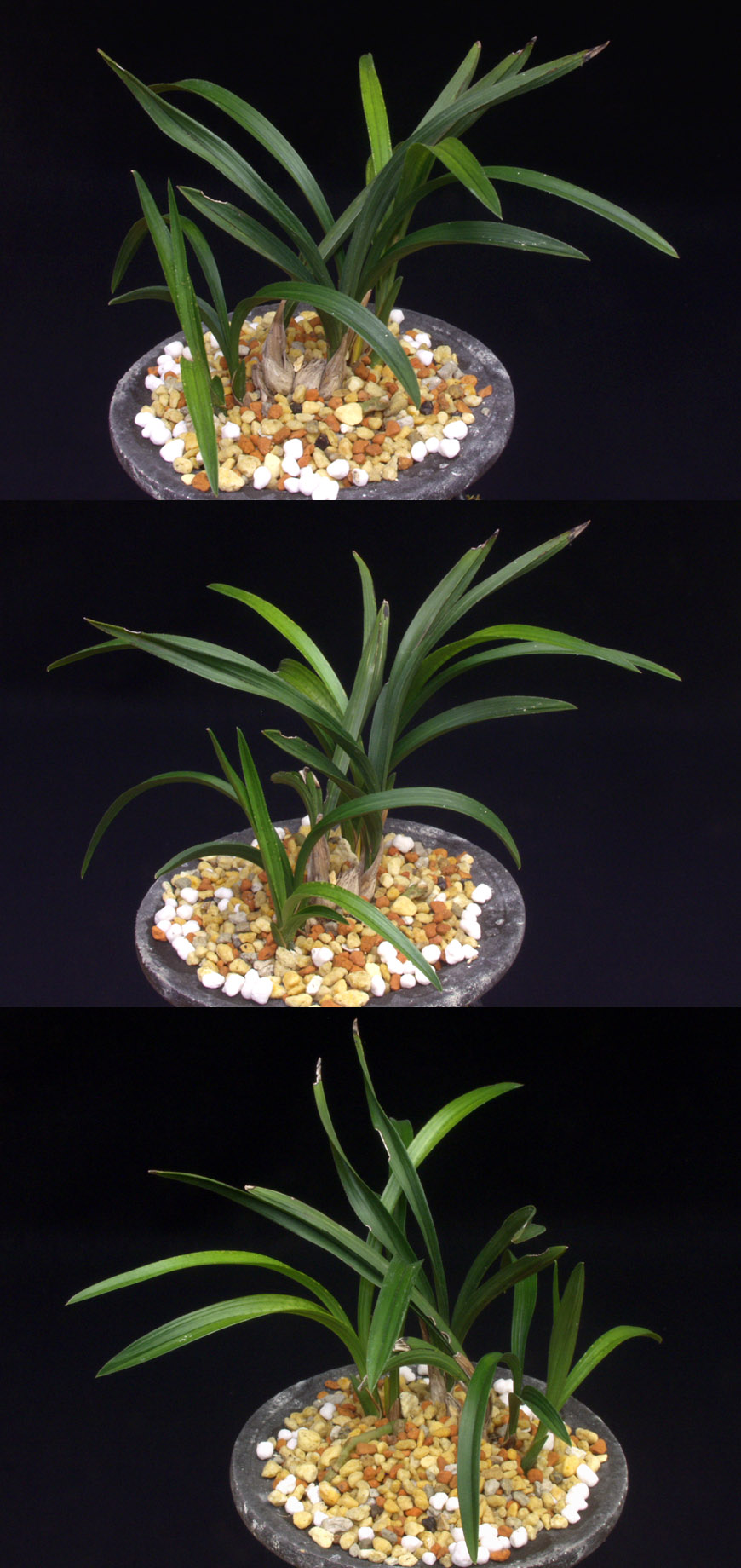 ������ ū������ �� �� �ֽ��ϴ�.