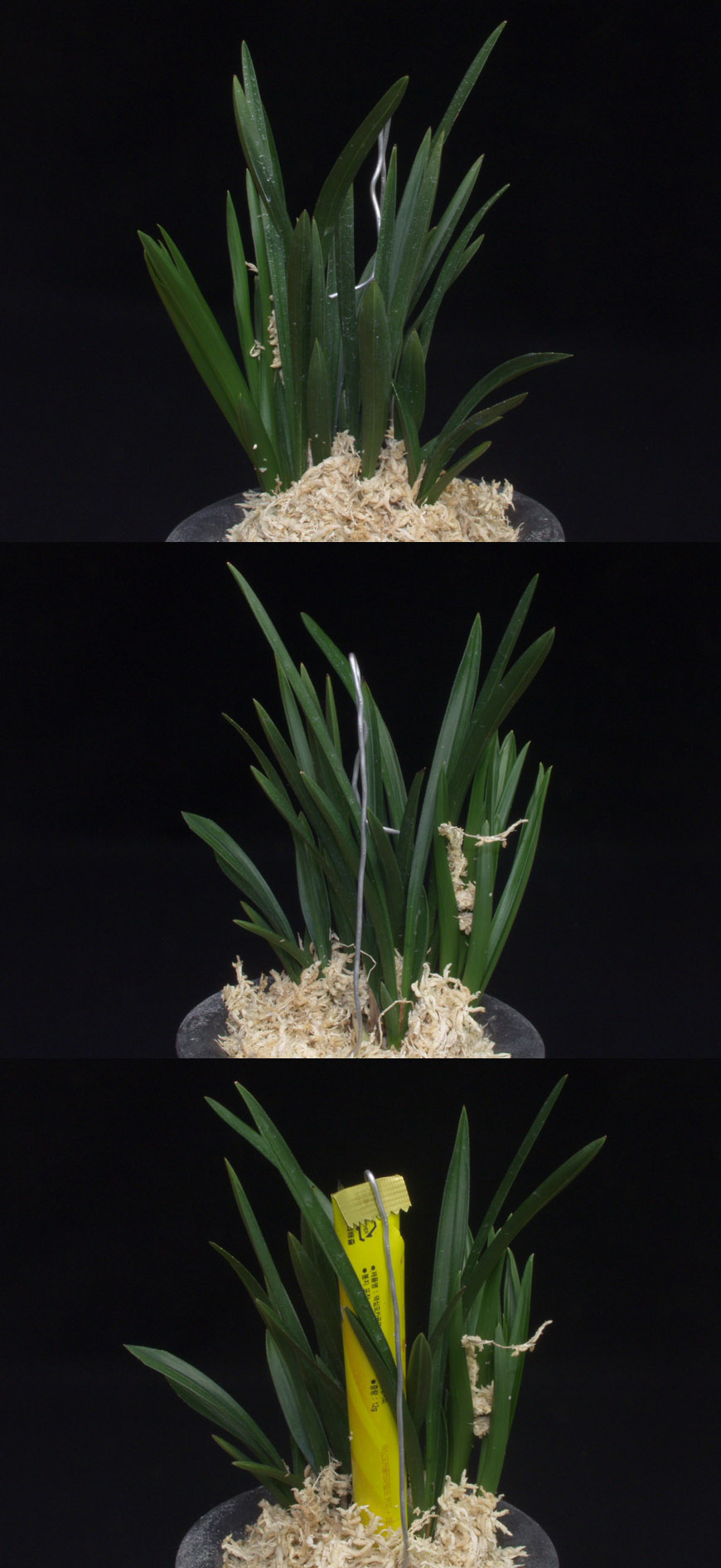 ������ ū������ �� �� �ֽ��ϴ�.