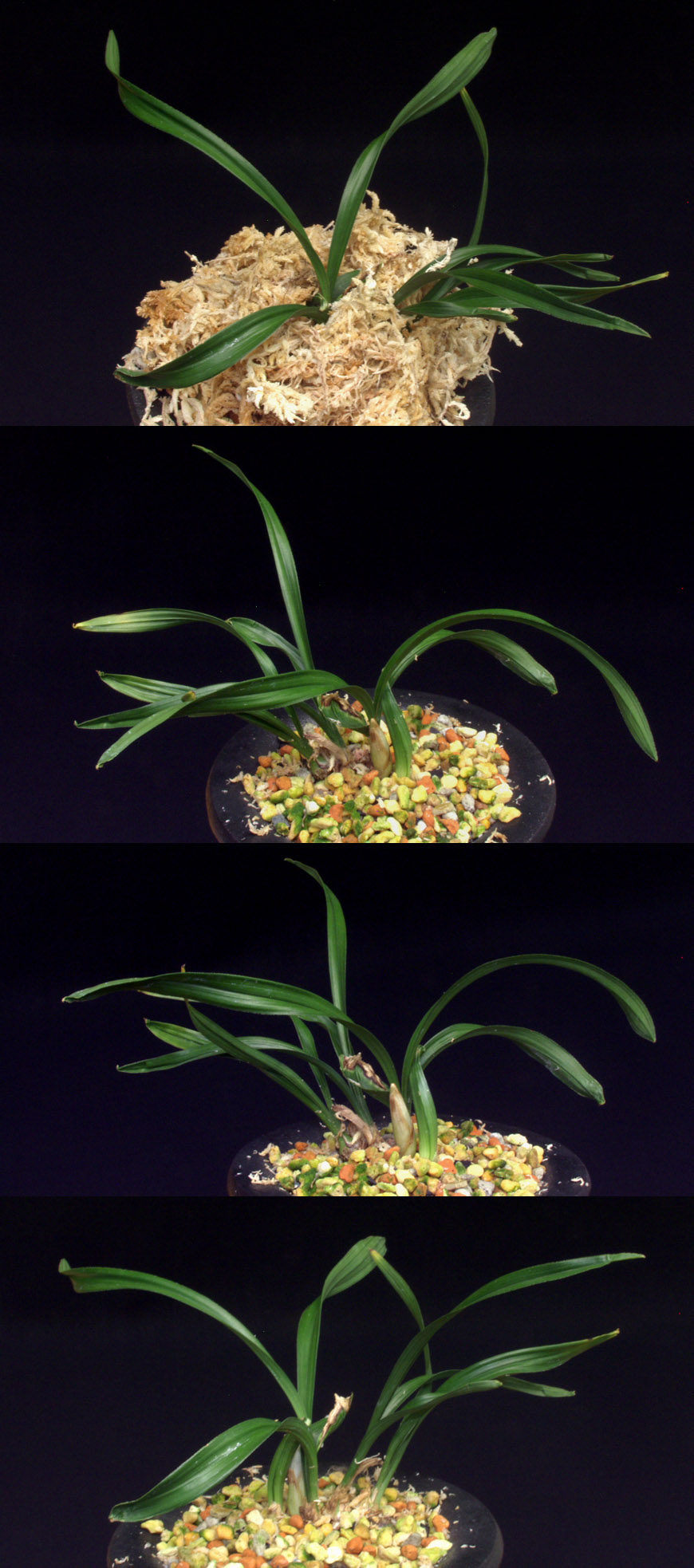 ������ ū������ �� �� �ֽ��ϴ�.