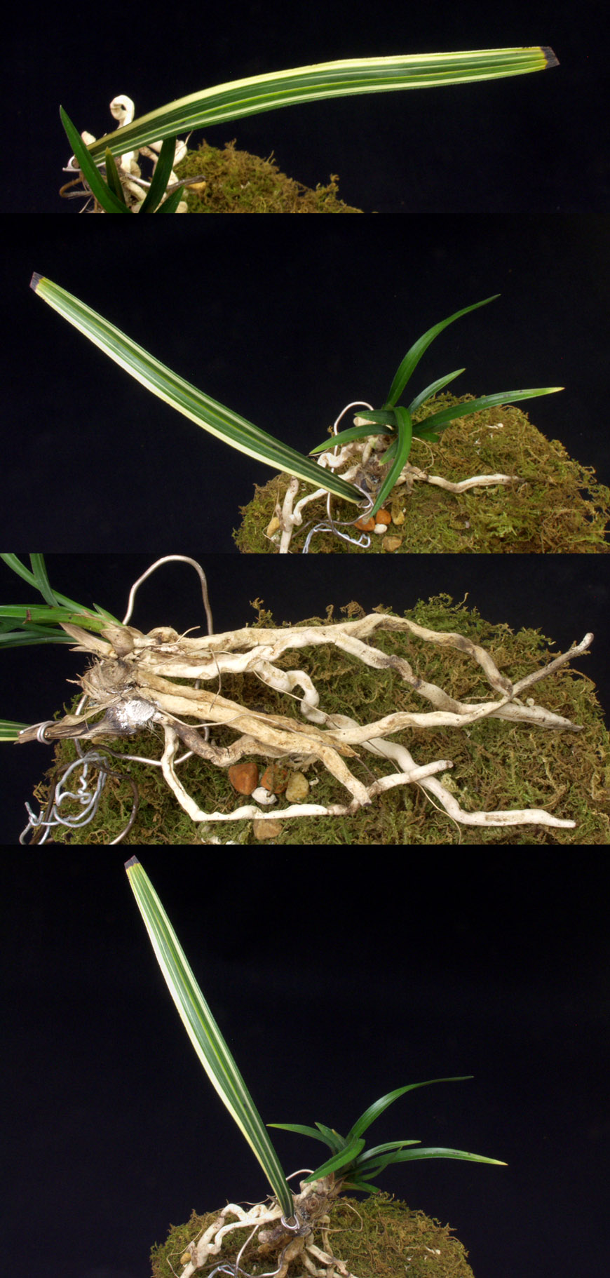 ������ ū������ �� �� �ֽ��ϴ�.