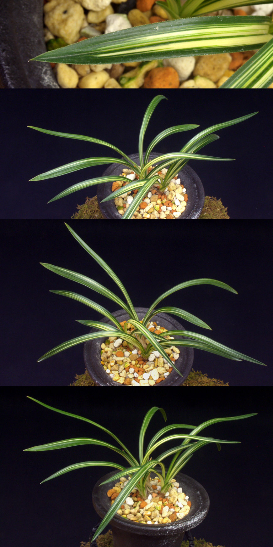 ������ ū������ �� �� �ֽ��ϴ�.