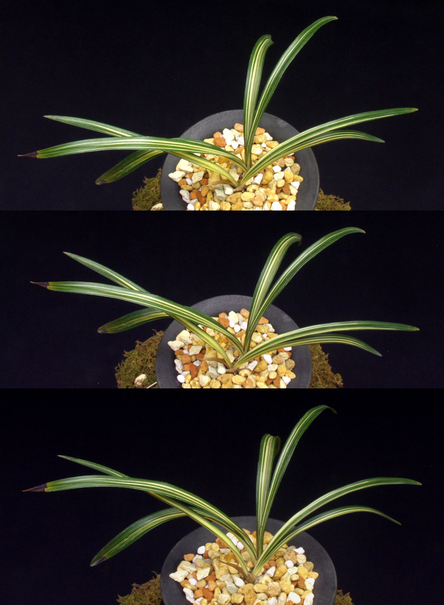 ������ ū������ �� �� �ֽ��ϴ�.