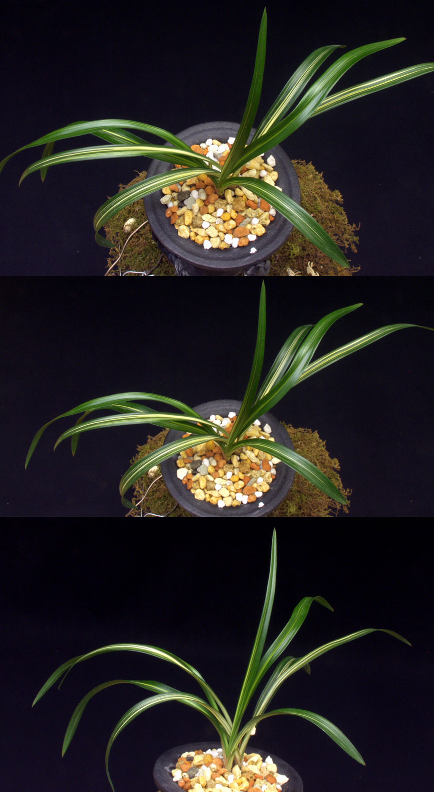 ������ ū������ �� �� �ֽ��ϴ�.