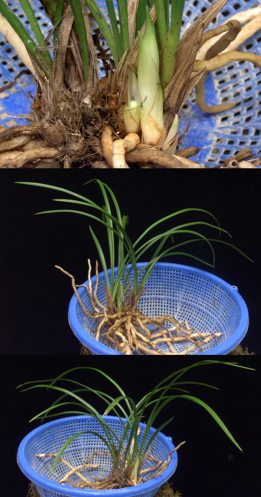 ������ ū������ �� �� �ֽ��ϴ�.